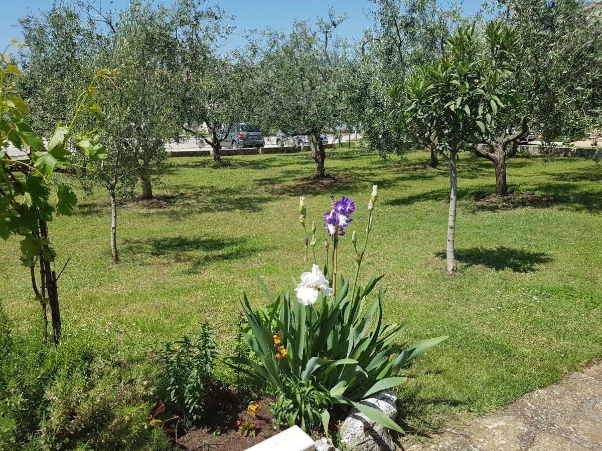 Rooms Siesta Porec Exterior photo